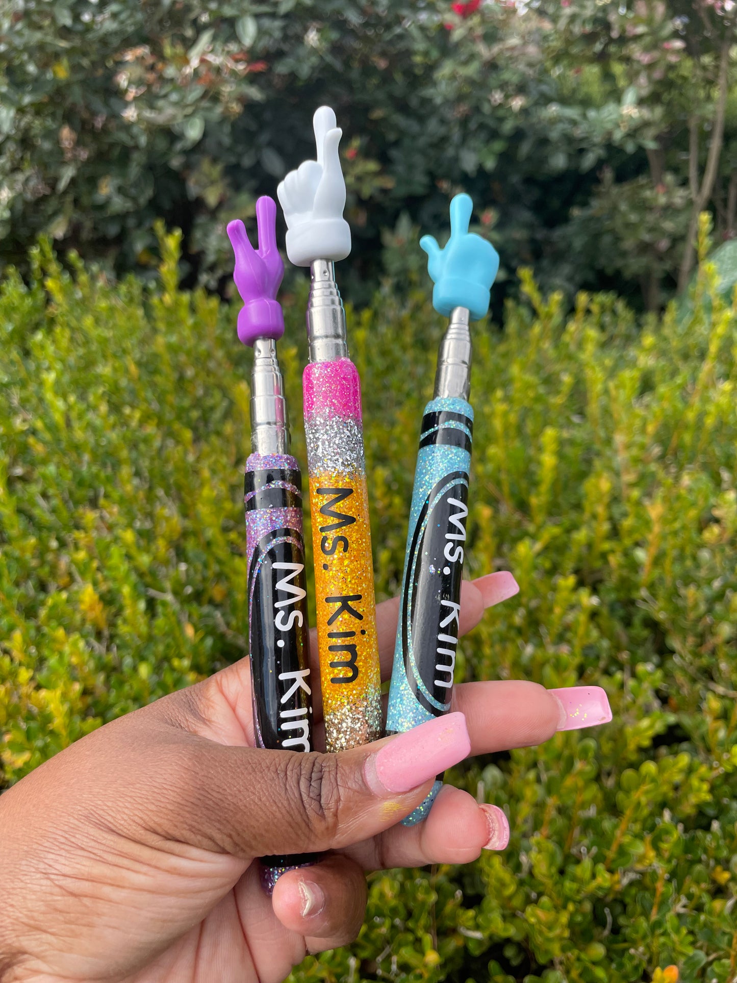 Telescopic Teachers Pointer