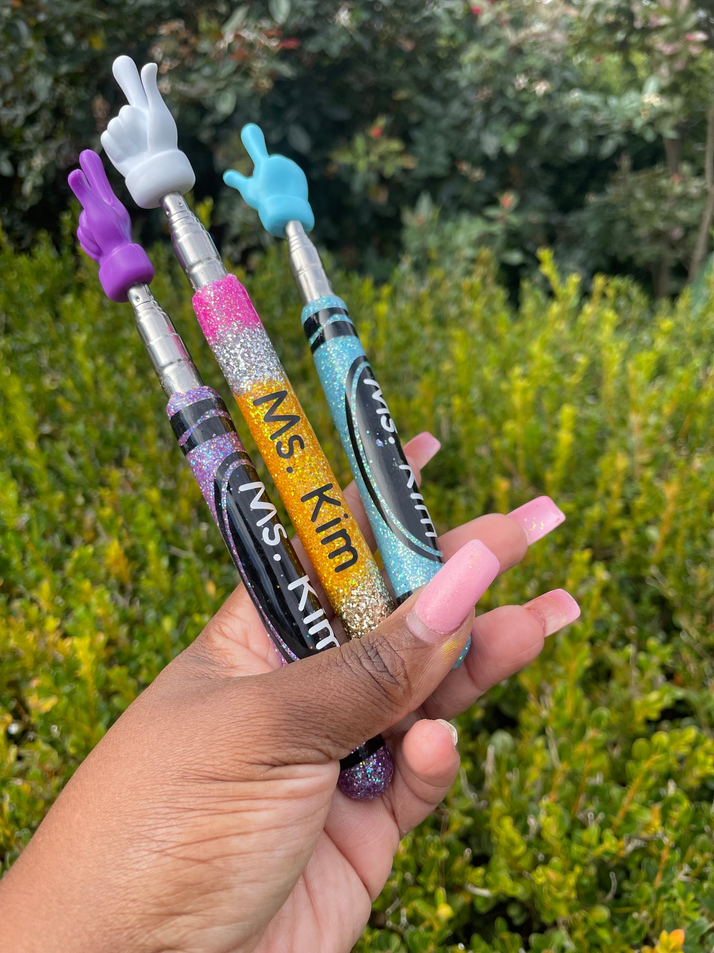 Telescopic Teachers Pointer