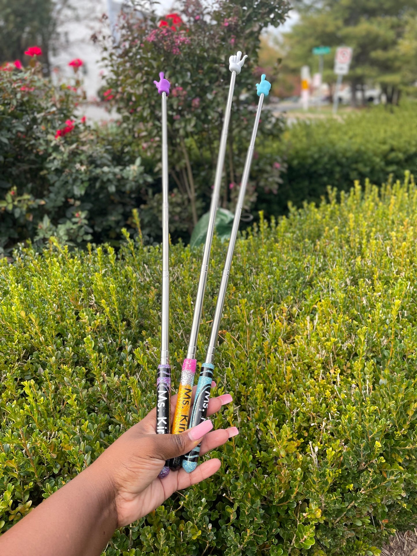 Telescopic Teachers Pointer