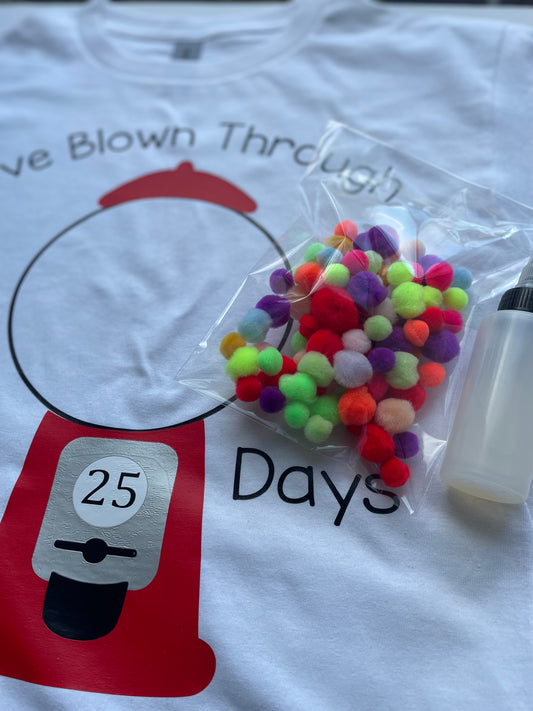 100 day if school DIY shirt