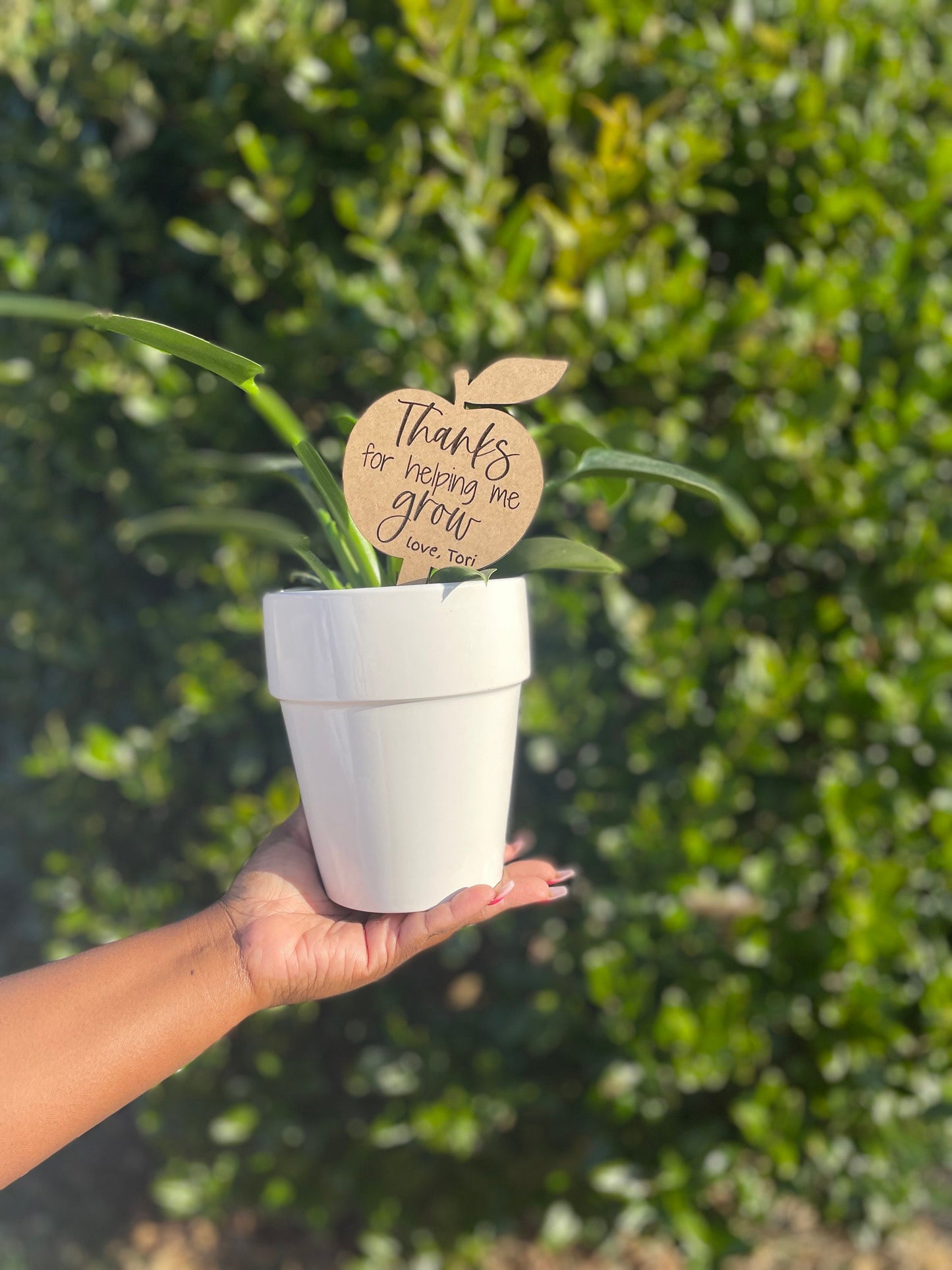 Teacher plant sign, plant marker, plant stake, thanks for helping me grow, gift for teacher, teacher appreciation gift, end of year gift